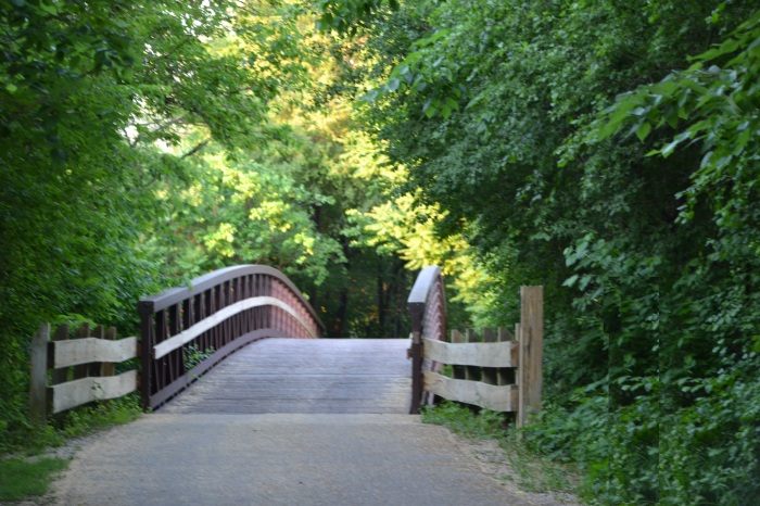 Bridge-Holistic Path